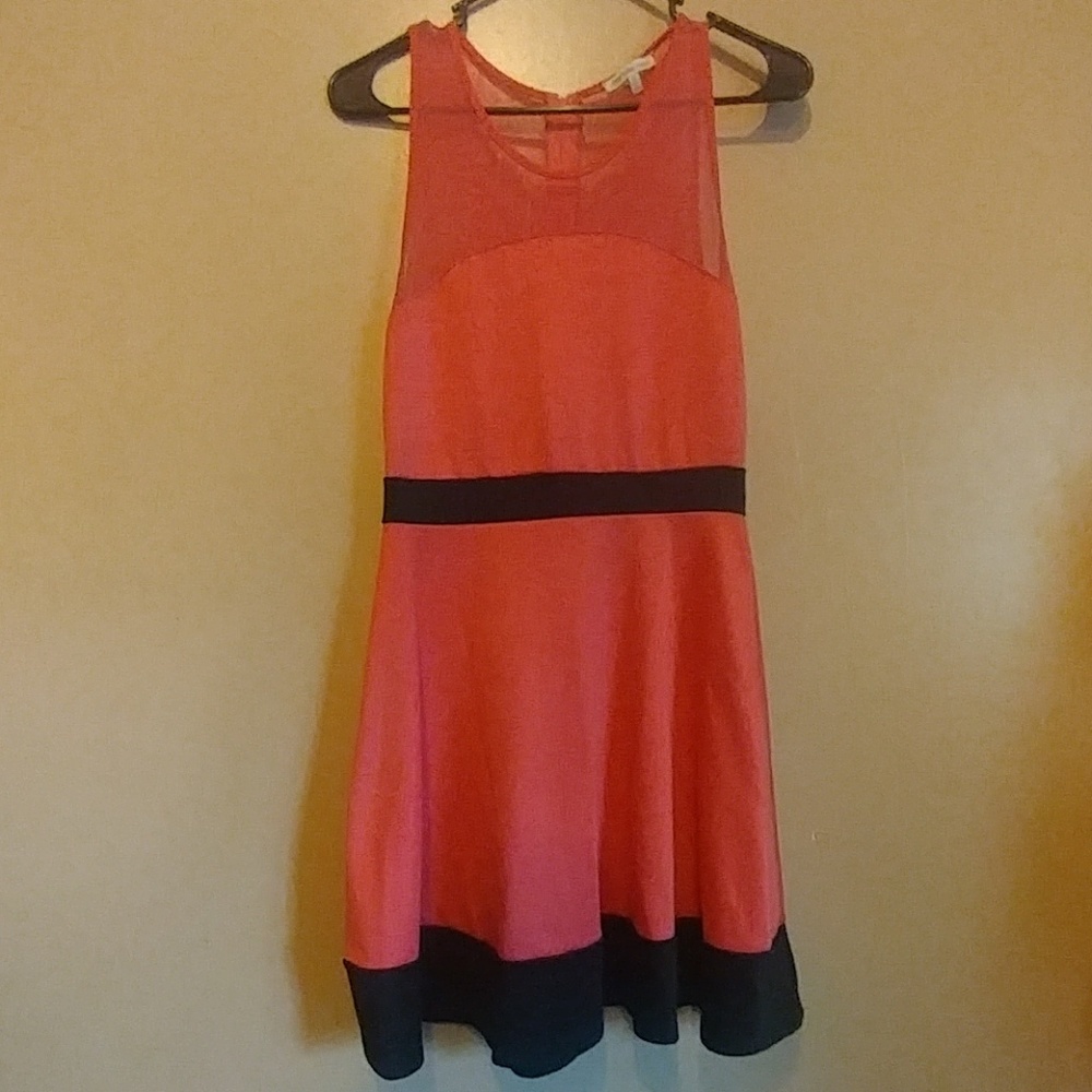 Charlotte Russe Skater Dress